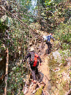#9: Chu and Cho on a typical steep climb