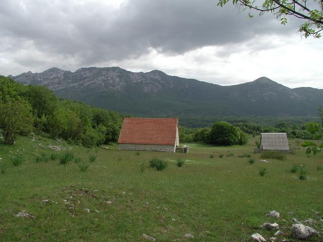 Looking Away from 43&deg;N 19&deg;E