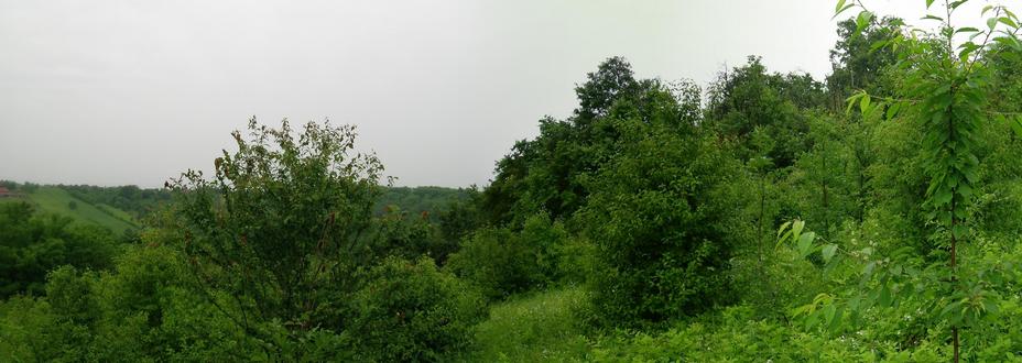 Panoramic view north - East