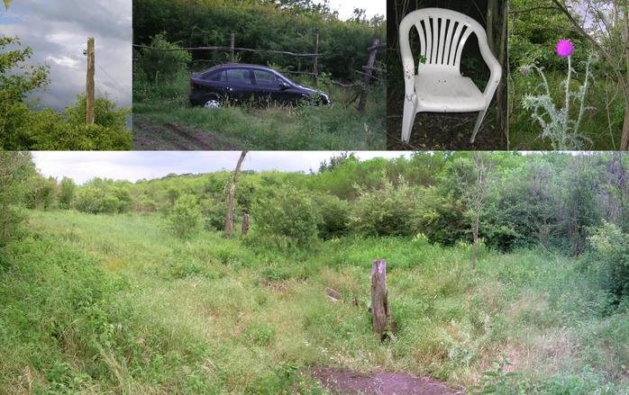Scenes [telephone line; parking; plastic chair; thistle; watering place]