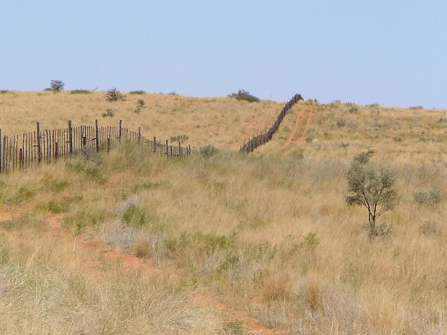 South along the fence
