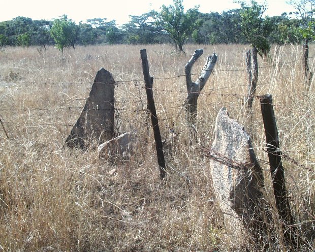 Rock slivers used as fence posts