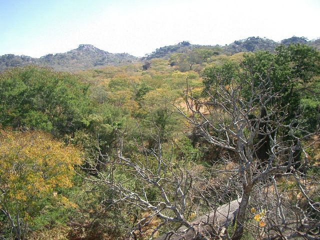 Photograph of general area taking from one of the rocky hills