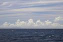 #6: Nevis and St Kitts (NW)