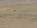 #3: Sheep herder passing by. Picture facing east.