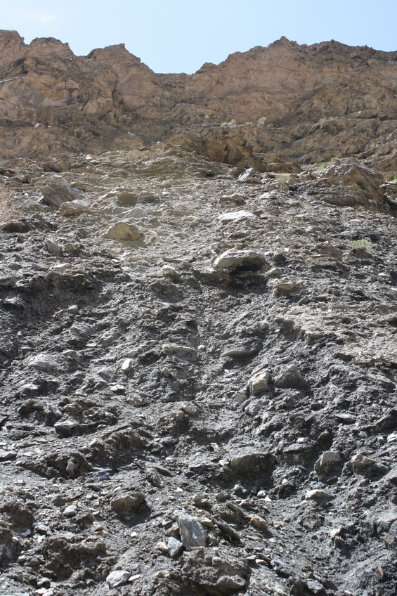 The View to the South, up against a cliff wall