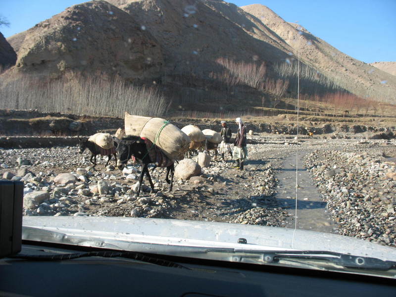 Donkeys are a common means of transport