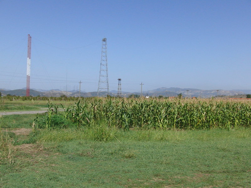 Corn field to the North