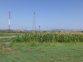 #2: Corn field to the North