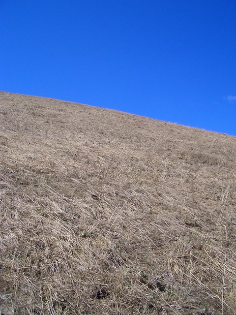 View to the South