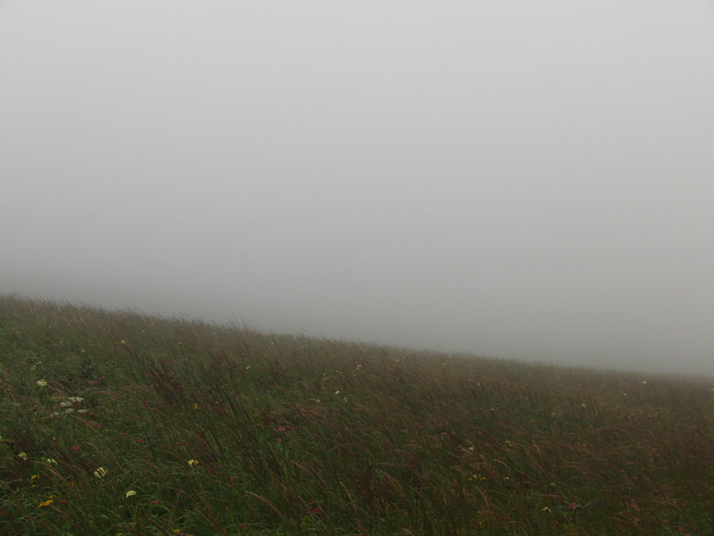 Northward foggy