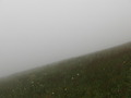 #3: Eastward foggy