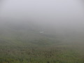 #8: Toyo in the mist
