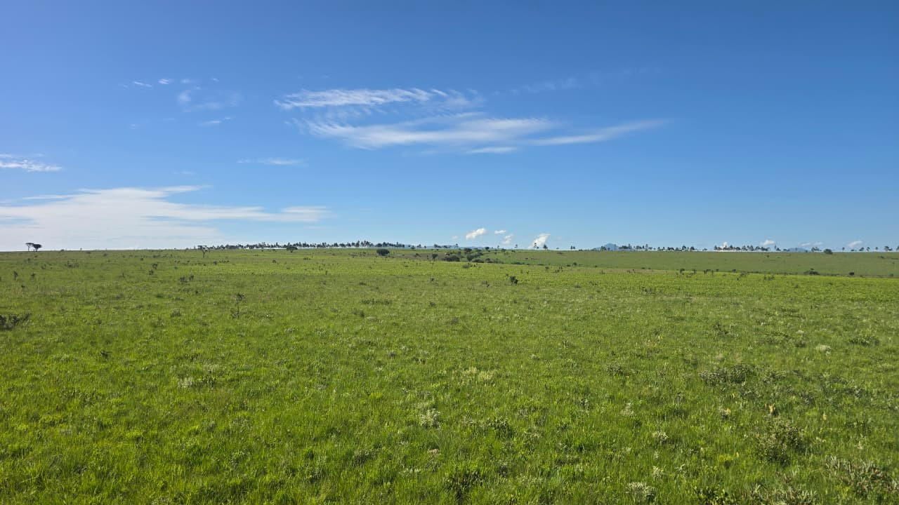 Vista Sul - View South