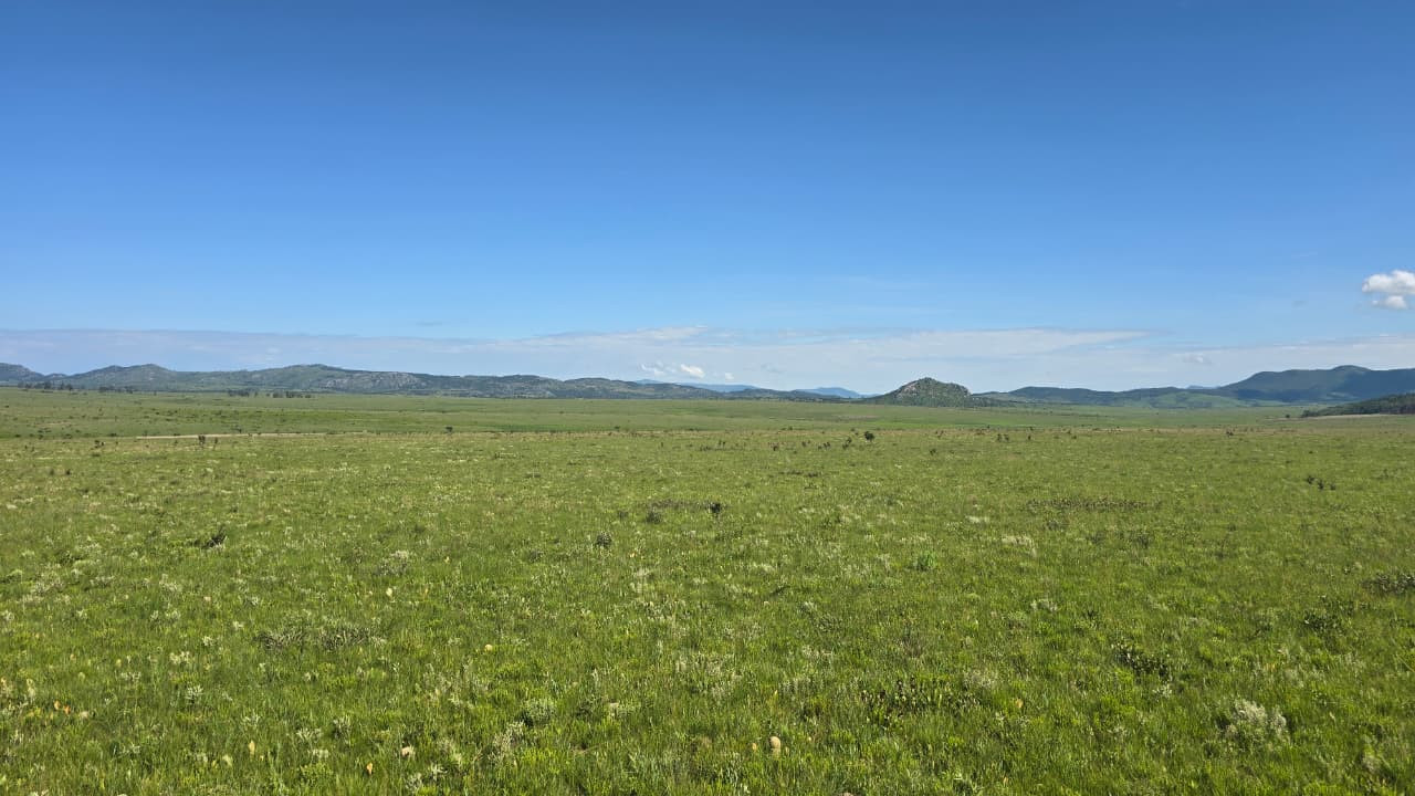 Vista Norte - View North