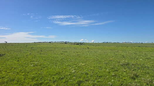 #1: Vista Sul - View South