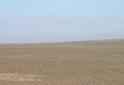 #3: West View