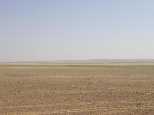 South view