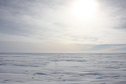 #2: View from the confluence point to the North