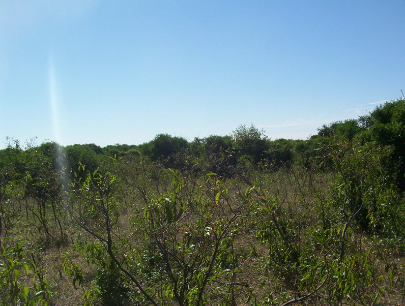 Vista norte. North view