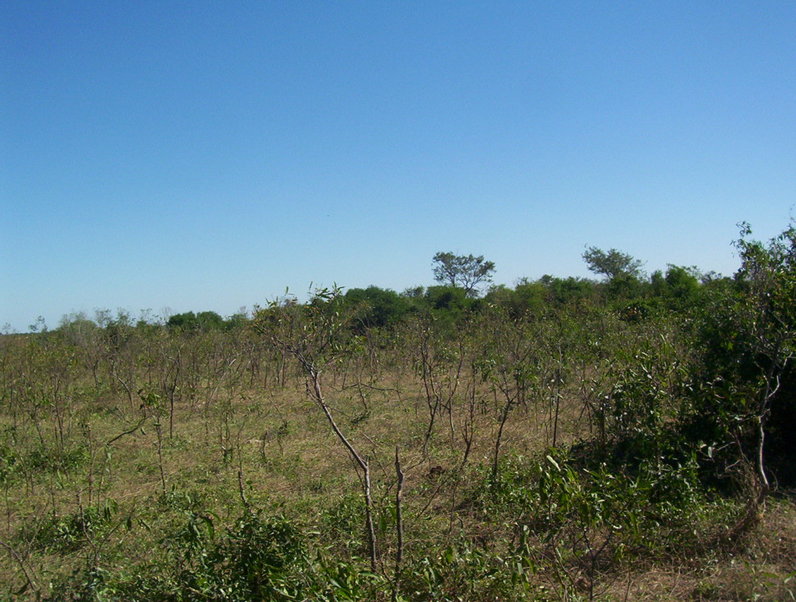 Vista Oeste. West view