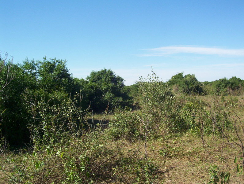 Vista Este. East view