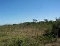 #3: Vista Oeste. West view