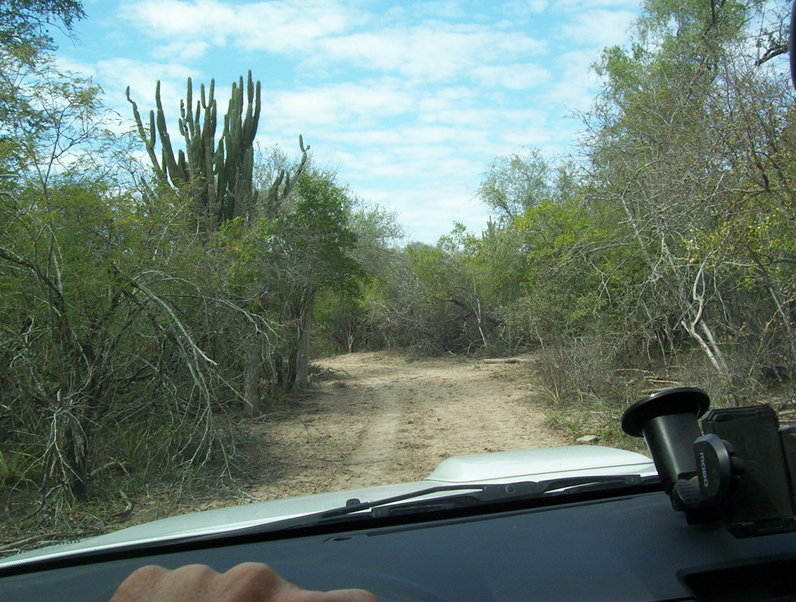 Entrando la chata al monte a 1000m de la Confluencia. Getting into the field at 1000mt from CP