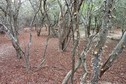 #2: View from the confluence towards the west