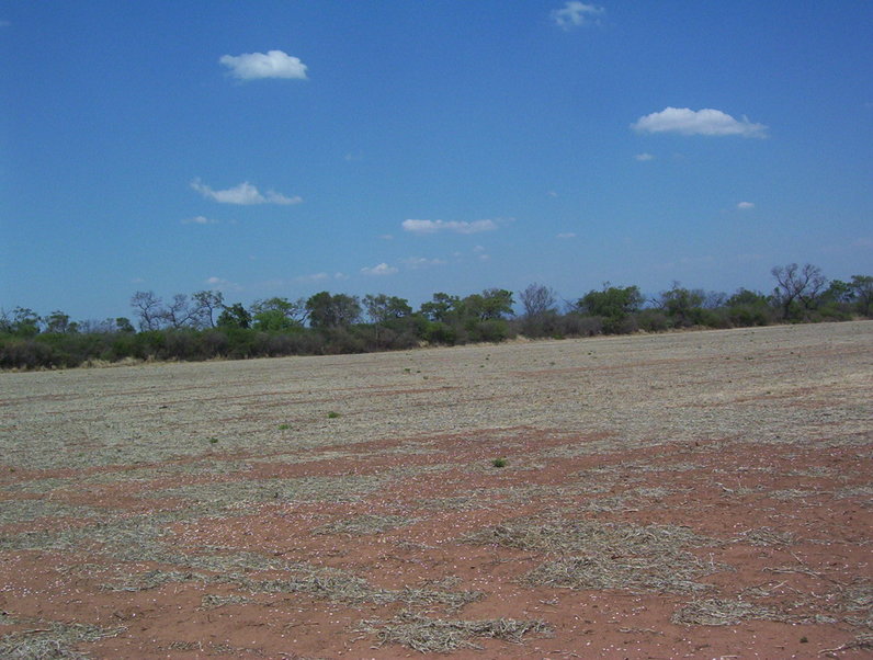 Vista Oeste / west view