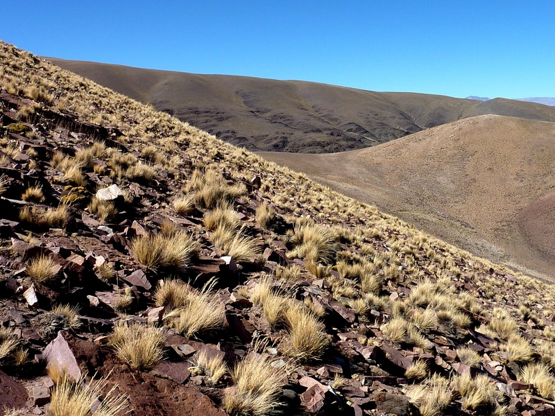 #4: View from the confluence towards the east