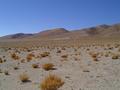 #3: North View - Vista al Norte