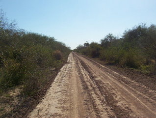 #1: Camino a 2000m de la confluencia. Road at 2000 m from CP