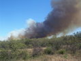 #5: Incendio de montes sobre la ruta 81. Field fire on road 81