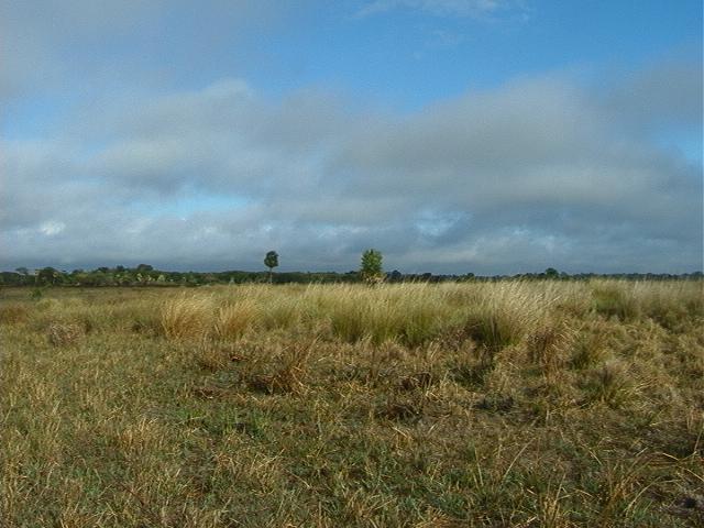 vista hacia el Oeste