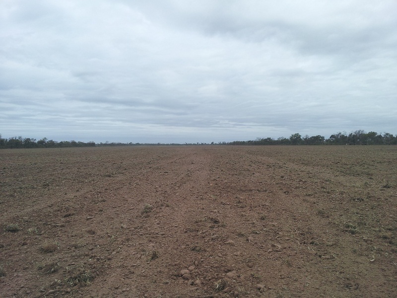 VISTA OESTE. VIEW TO WEST