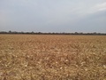 #2: VISTA SUR. South view