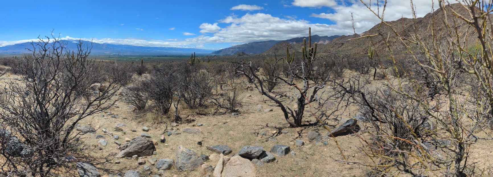 Overview of the confluence area