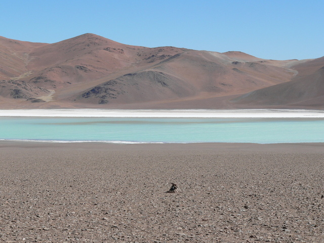 Vista este con la Laguna Diamante al fondo