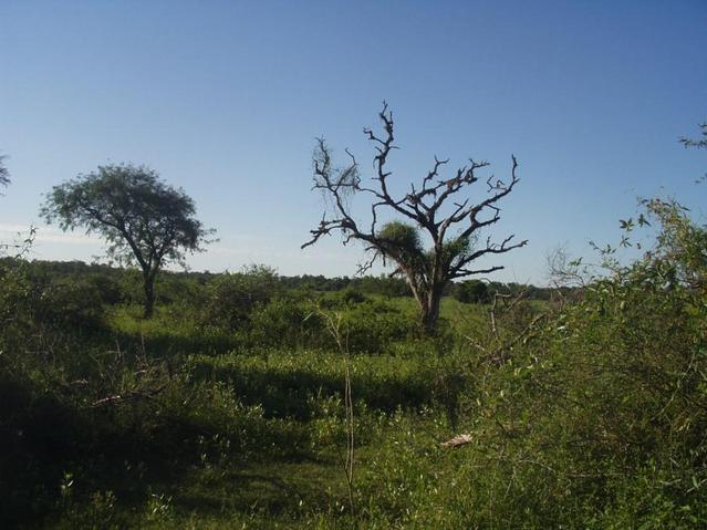 Vista al norte