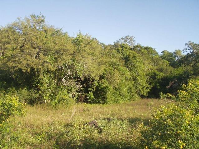 Vista al oeste