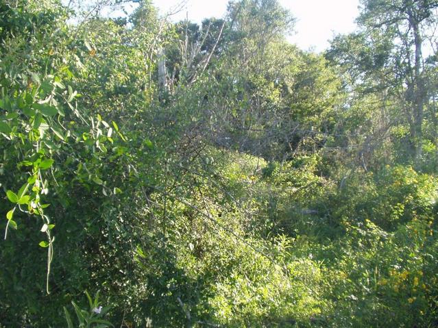 Vista del lugar de la confluencia