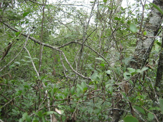 West View