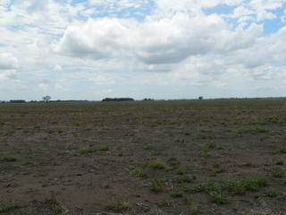 #1: Vista norte de la confluencia