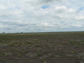 #2: vista oeste