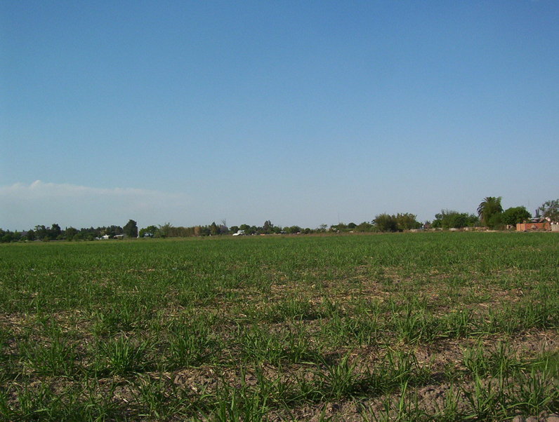 Vista Norte / north view