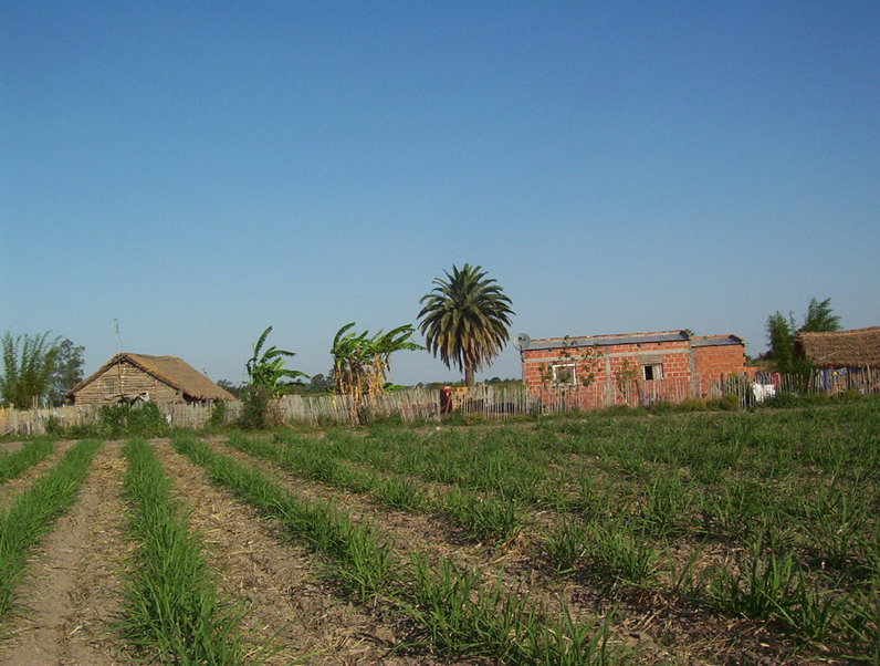 Vista Este / east view