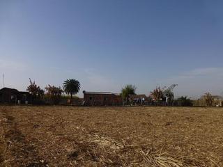 #1: Este. East
