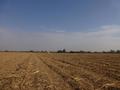 #3: Oeste. West