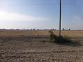 #6: Camino de tierra a 350 m al oeste de la confluencia. Dirty road 350 m west from CP